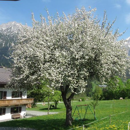 Bauernhof Neu-Endfelden, Guenter Widauer Villa เซิลล์ ภายนอก รูปภาพ