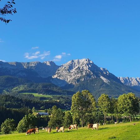 Bauernhof Neu-Endfelden, Guenter Widauer Villa เซิลล์ ภายนอก รูปภาพ