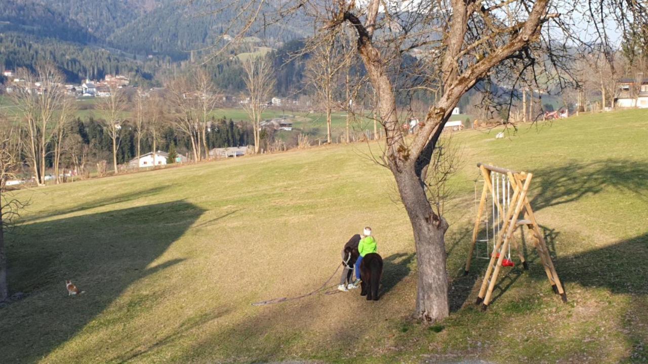 Bauernhof Neu-Endfelden, Guenter Widauer Villa เซิลล์ ภายนอก รูปภาพ