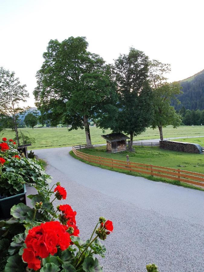 Bauernhof Neu-Endfelden, Guenter Widauer Villa เซิลล์ ภายนอก รูปภาพ